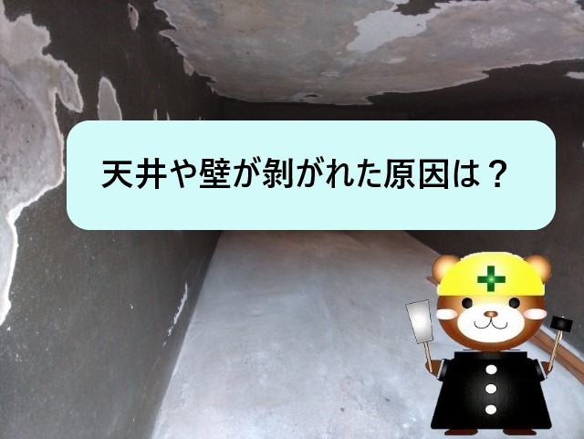 現地調査結果　天井や壁が剝がれた原因